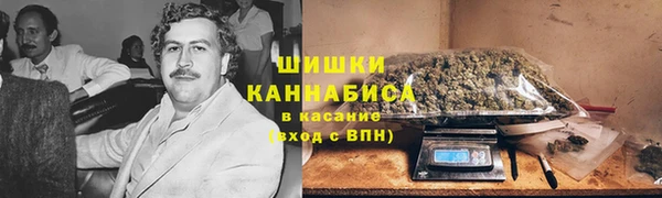 гидра Абаза