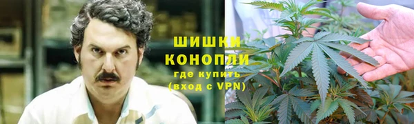 ПСИЛОЦИБИНОВЫЕ ГРИБЫ Абдулино