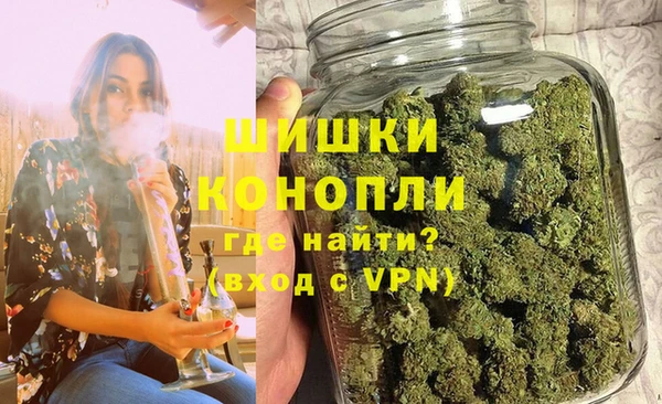 ГАЛЛЮЦИНОГЕННЫЕ ГРИБЫ Алзамай