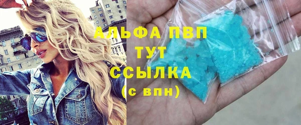 гидра Абаза