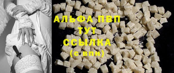 гидра Абаза