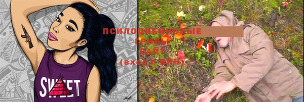 ПСИЛОЦИБИНОВЫЕ ГРИБЫ Абдулино