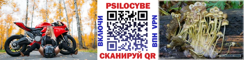 Псилоцибиновые грибы мицелий Грайворон