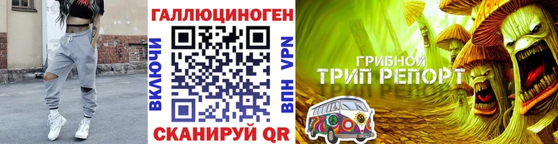 Псилоцибиновые грибы Cubensis  Грайворон 