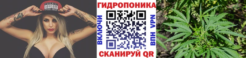 МЕГА сайт  купить   Грайворон  Шишки марихуана Amnesia 
